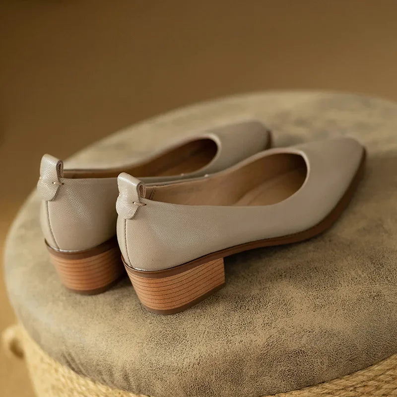 Brianna | Women's Block Heel Pumps Pointed Toe Slip On Work Shoes