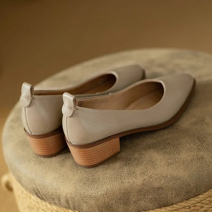 Brianna | Women's Block Heel Pumps Pointed Toe Slip On Work Shoes