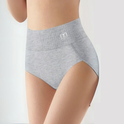 Adelaide2™ | High-Waist Shaping Briefs (6 pack)